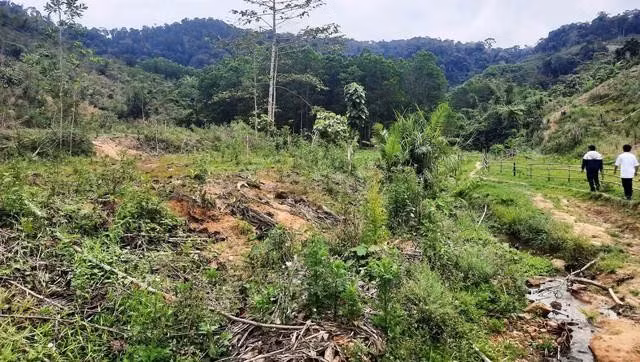 Nhiều hộ dân không có đất canh tác, sản xuất nên gặp khó khăn