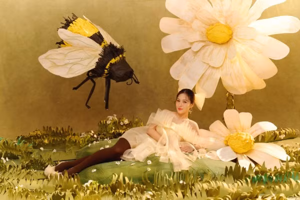 Cô mang đến những màu sắc âm nhạc của 4 mùa