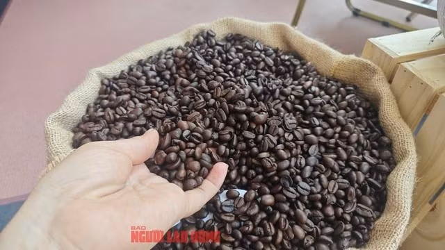 Giá cà phê hôm nay lại giảm