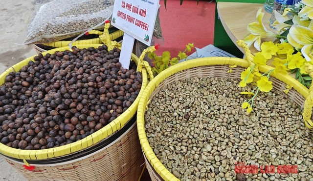 Đầu tư dài hạn vào cà phê, hạn chế phụ thuộc vào giá Đầu tư dài hạn vào cà phê, hạn chế phụ thuộc vào giá