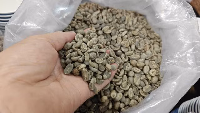 Giá cà phê vụ 2024-2025 từng đạt mốc 130.000 đồng/kg