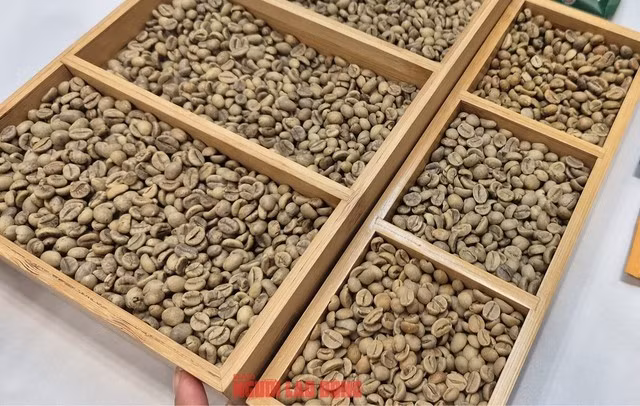 Robusta Việt Nam bất ngờ lập kỷ lục về giá xuất khẩu