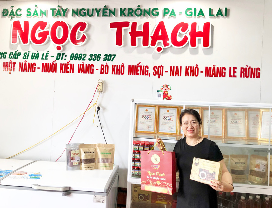 Bà Võ Thị Thạch-Chủ hộ kinh doanh Ngọc Thạch giới thiệu các sản phẩm của gia đình đã đạt 3 sao OCOP. Ảnh: L.N ba-vo-thi-thach-chu-ho-kinh-doanh-ngoc-thach-gioi-thieu-cac-san-phan-cua-gia-dinh-da-dat-3-sao-ocop.jpg