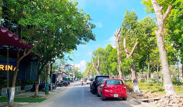 Tuyến phố Đô Đốc Bảo, TP Quy Nhơn. Tuyến phố Đô Đốc Bảo, TP Quy Nhơn.