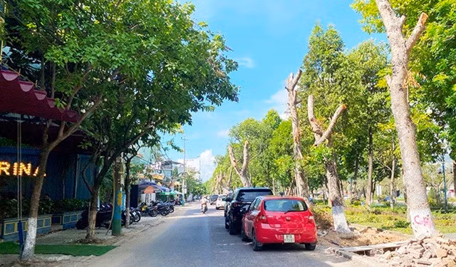 Tuyến phố Đô Đốc Bảo, TP Quy Nhơn.