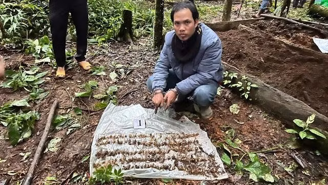 Cơ quan công an đã thu giữ 350 gốc sâm Ngọc Linh là tang vật trong vụ án