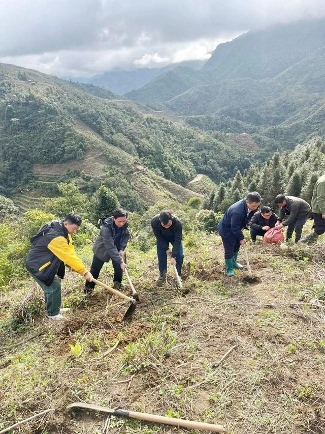 Nhóm Uống trà đi tham gia phủ xanh đồi trọc, trồng trà gieo mầm cho tương lai ở Tả Củ Tỷ (H.Bắc Hà, tỉnh Lào Cai) Nhóm Uống trà đi tham gia phủ xanh đồi trọc, trồng trà gieo mầm cho tương lai ở Tả Củ Tỷ (H.Bắc Hà, tỉnh Lào Cai)