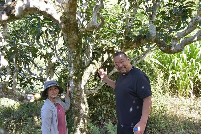 Ông Matsuo đến từ Nhật Bản đi khảo sát vùng trà Túng Sán, Hoàng Su Phì, Hà Giang Ông Matsuo đến từ Nhật Bản đi khảo sát vùng trà Túng Sán, Hoàng Su Phì, Hà Giang