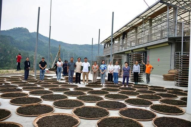Nhóm Uống trà đi thăm xưởng trà Hà An trong chuyến từ thiện cho nông dân vùng trà Hoàng Su Phì năm 2024 Nhóm Uống trà đi thăm xưởng trà Hà An trong chuyến từ thiện cho nông dân vùng trà Hoàng Su Phì năm 2024