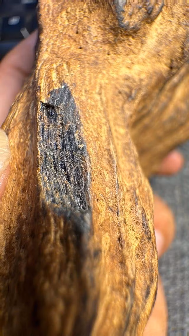 Ông S. “hố hàng” khi bị lừa mua khối trầm này