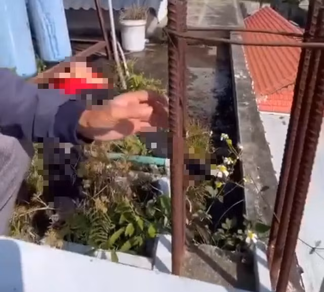 Nam sinh lớp 7 được phát hiện tử vong trên mái nhà