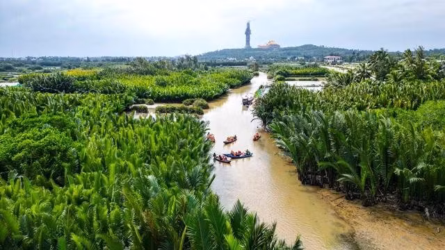 Xã Tịnh Khê có khoảng 12 ha rừng dừa nước nằm dọc dòng sông