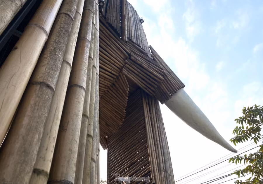 Cặp ngà voi to được anh Nam thiết kế bằng khung thép, bên ngoài được đắp xi măng, quét sơn trắng trông như ngà voi thật.