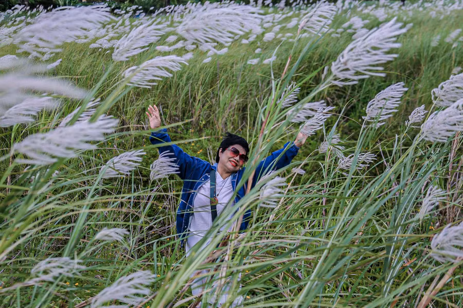 “Khung cảnh này khiến con người dễ quên đi những ồn ào, hối hả của cuộc sống, chỉ còn lại sự tĩnh lặng và yên bình. Giữa cánh đồng cỏ lau, tôi như được trở về với thiên nhiên, với những ký ức tuổi thơ trong trẻo”, bà Định Thị Hải Đăng (quận Hải Châu) chia sẻ.