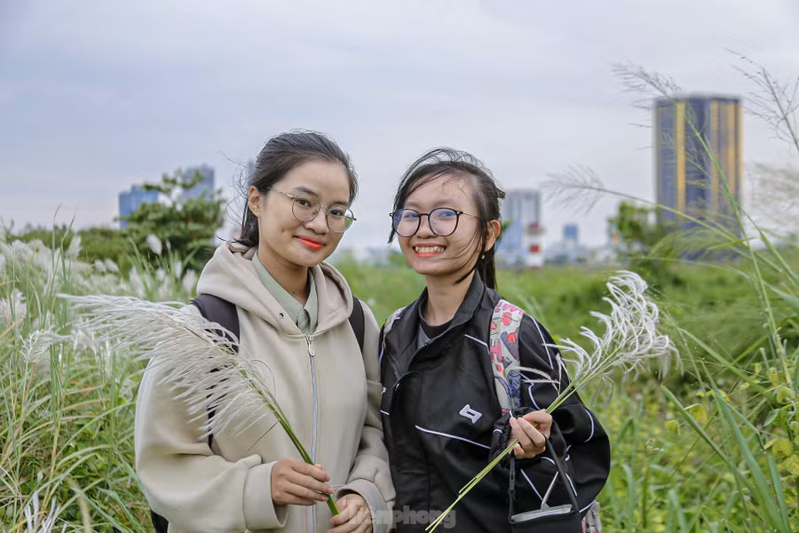 Nhiều người thích thú ghi lại những khoảnh khắc tuyệt đẹp dưới chân cầu Thuận Phước, nơi từng ngọn cỏ lau bay phấp phới trong gió.