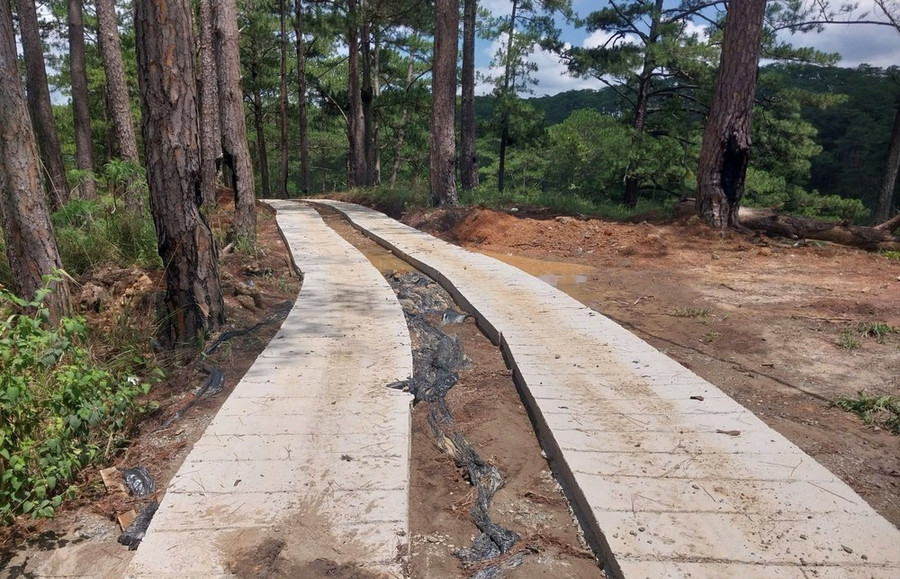 Đường bê tông trên đất rừng vừa được xây dựng tại tiểu khu 166 (địa giới hành chính xã Xuân Trường, TP Đà Lạt Đường bê tông trên đất rừng vừa được xây dựng tại tiểu khu 166 (địa giới hành chính xã Xuân Trường, TP Đà Lạt