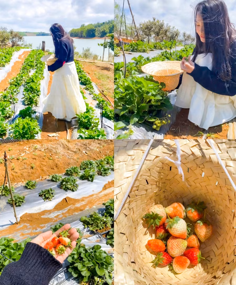 Một nữ du khách say mê với điểm du lịch mới.