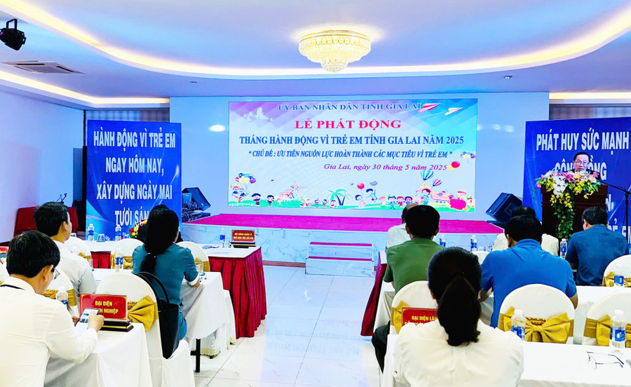 Quang cảnh lễ phát động Tháng hành động vì trẻ em tại tỉnh Gia Lai. Ảnh: N.N quang-canh-le-phat-dong-thang-hanh-dong-vi-tre-em-tai-tinh-gia-lai-anh-nhu-nguyen.jpg