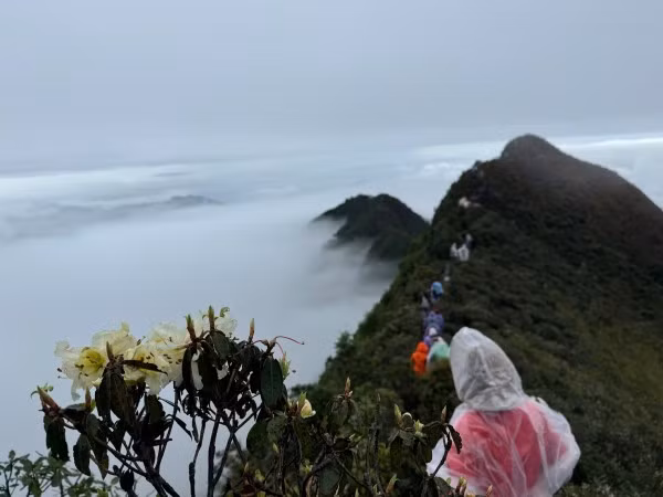 “Sống lưng rồng” trên cung đường chinh phục đỉnh Tà Xùa.