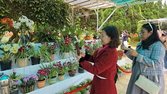 Du khách đến với triển lãm hoa lan