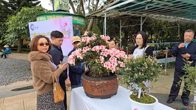 Chiêm ngắm vẻ đẹp của hoa