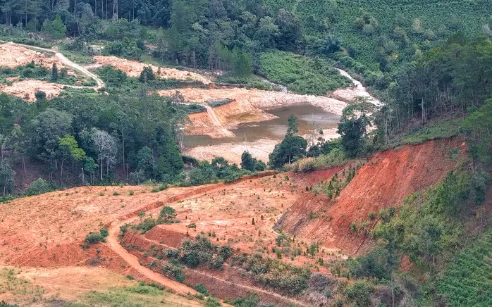Cách đó không xa, một mảng chân đồi lớn đã bị san phẳng kéo dài đến rừng thông phía trên với taluy cao trên 10 m.