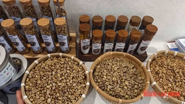Giá cà phê giảm từ tháng 5