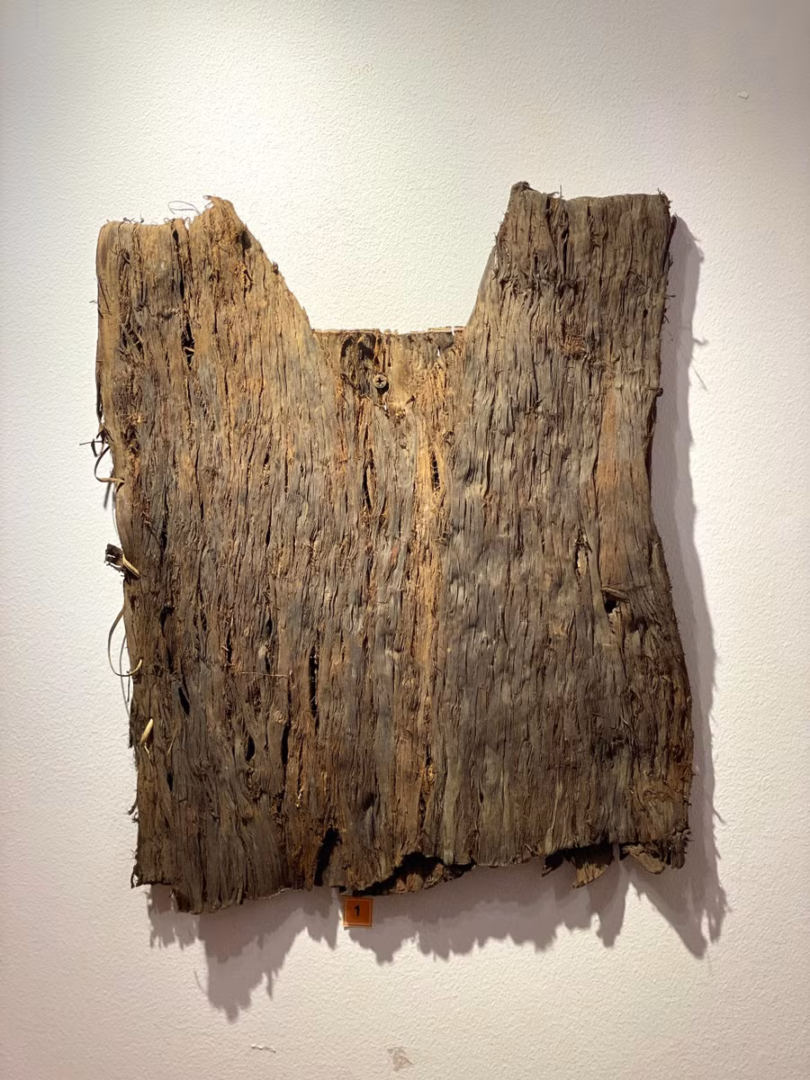 2-4863.jpg