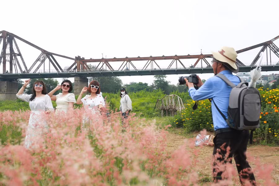 Không chỉ hấp dẫn giới trẻ, bãi cỏ hồng còn trở thành điểm dừng chân thú vị của nhiều người trung niên.