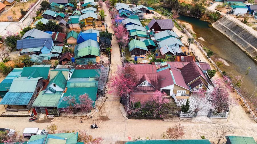 Với những đặc thù này, làng K'long K'lanh không chỉ là nơi du khách đến để chiêm ngưỡng vẻ đẹp hoa đào mà còn là nơi để khám phá, hiểu rõ hơn về giá trị văn hóa của dân tộc thiểu số bản địa.