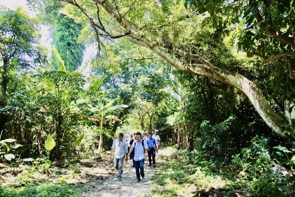 Đi bộ giữa rừng nguyên sinh Cồn Cỏ.