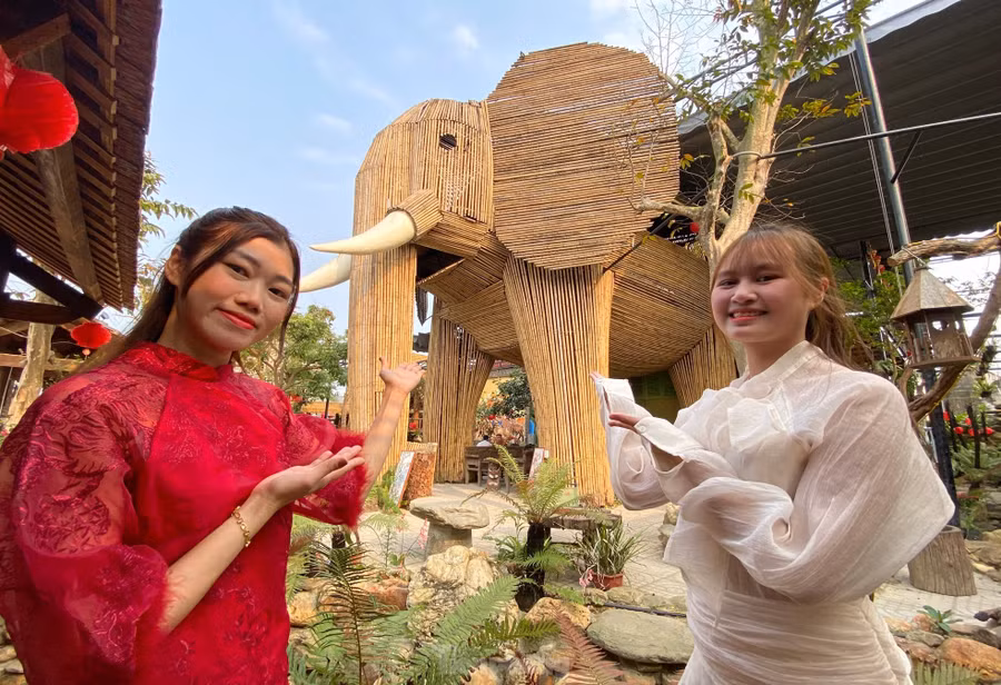 Những ngày qua, giới trẻ ở huyện Hưng Nguyên (Nghệ An) kéo đến một quán cafe ở xã Hưng Tây (huyện Hưng Nguyên) để chiêm ngưỡng và chụp hình check-in cùng con voi độc đáo làm từ hàng nghìn cây tre.