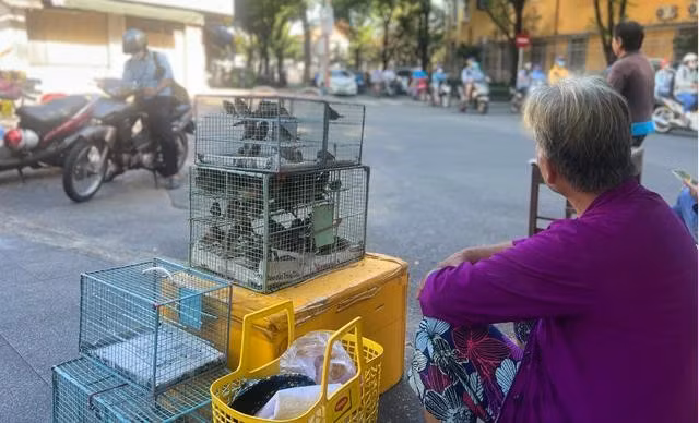 Những người xuất gia rất tán thán công đức phóng sinh của người dân, nhưng cần biết mở tâm yêu thương đúng cách