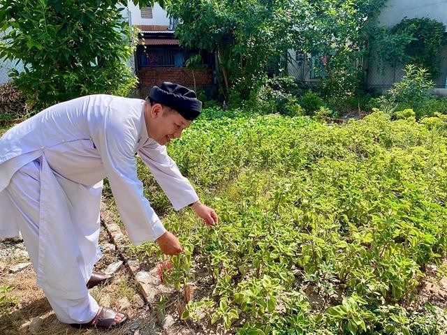 Vườn thuốc của Thánh tòa vô vi Huỳnh Quang Sắc Vườn thuốc của Thánh tòa vô vi Huỳnh Quang Sắc