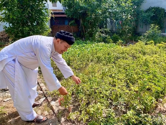 Vườn thuốc của Thánh tòa vô vi Huỳnh Quang Sắc