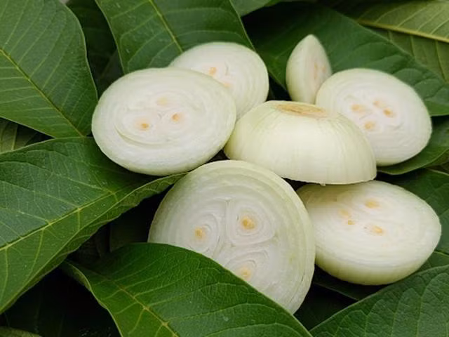 Hành tây, lá ổi có đặc tính chống ung thư