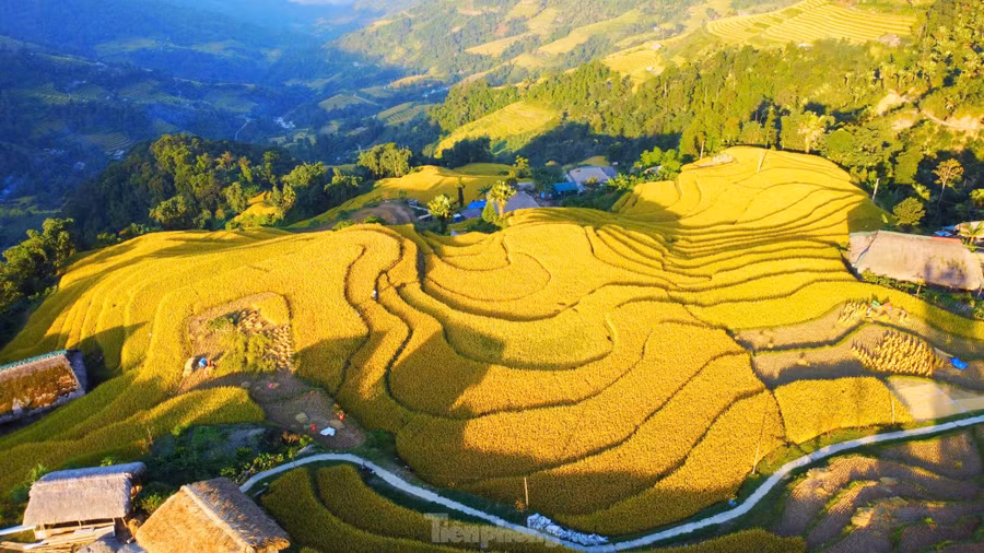 Ruộng bậc thang ở Xà Phìn trải dài, như những dải lụa mềm mại uốn lượn quanh những nếp nhà sàn mái cọ rêu phong.