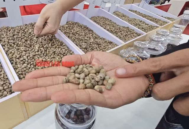 Các mẫu cà phê nhân của Việt Nam