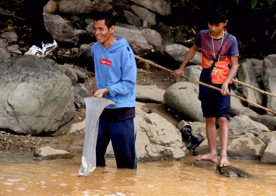 Người Giẻ Triêng 'gây mê' bắt cá bằng cây rừng ảnh 10