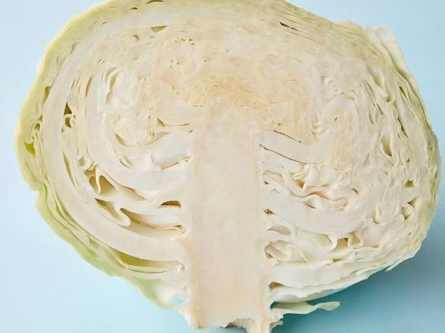 Ăn bắp cải có thể giúp bảo vệ sức khỏe thận