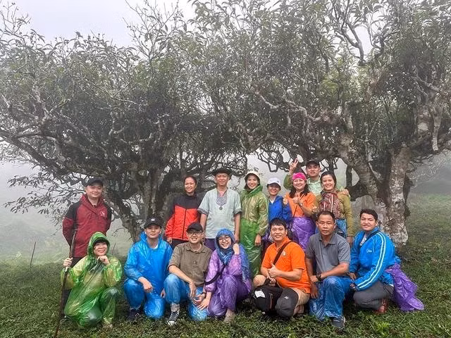 Các thành viên Uống trà đi thăm rừng trà shan cổ thụ Lùng Vài, Hà Giang