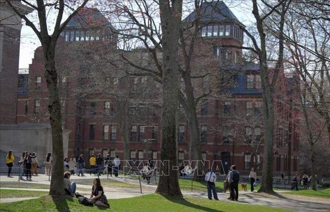 Sinh viên trong khuôn viên Đại học Harvard ở Cambridge, bang Massachusetts, Mỹ ngày 15-4. Ảnh: REUTERS/TTXVN 280525-havard.jpg