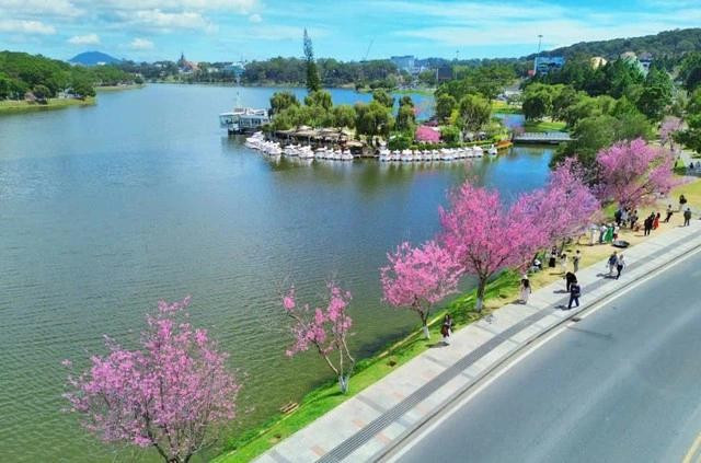 Sân bay Liên Khương đóng cửa sẽ tác động trực tiếp lên hệ sinh thái du lịch Lâm Đồng