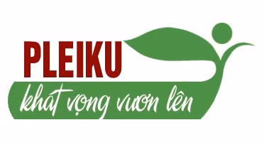 logo-pleiku-khat-vong-vuon-len.jpg