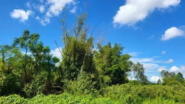 Di tích hào - lũy ở thành Châu Sa