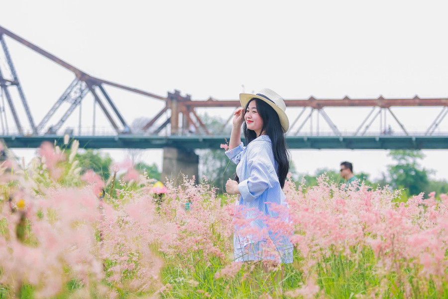 Giữa cánh đồng cỏ hồng bạt ngàn – loài hoa dại thường gợi nhớ đến vẻ đẹp thơ mộng của Đà Lạt. Hiện khu vực này đang mở cửa miễn phí để người dân và du khách tham quan, chụp ảnh. Giữa cánh đồng cỏ hồng bạt ngàn – loài hoa dại thường gợi nhớ đến vẻ đẹp thơ mộng của Đà Lạt. Hiện khu vực này đang mở cửa miễn phí để người dân và du khách tham quan, chụp ảnh.