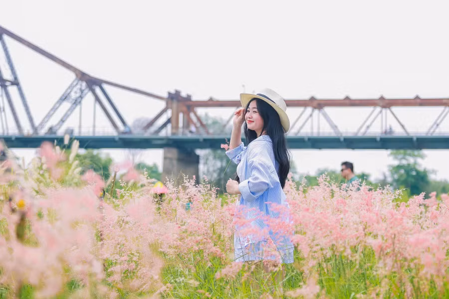 Giữa cánh đồng cỏ hồng bạt ngàn – loài hoa dại thường gợi nhớ đến vẻ đẹp thơ mộng của Đà Lạt. Hiện khu vực này đang mở cửa miễn phí để người dân và du khách tham quan, chụp ảnh.