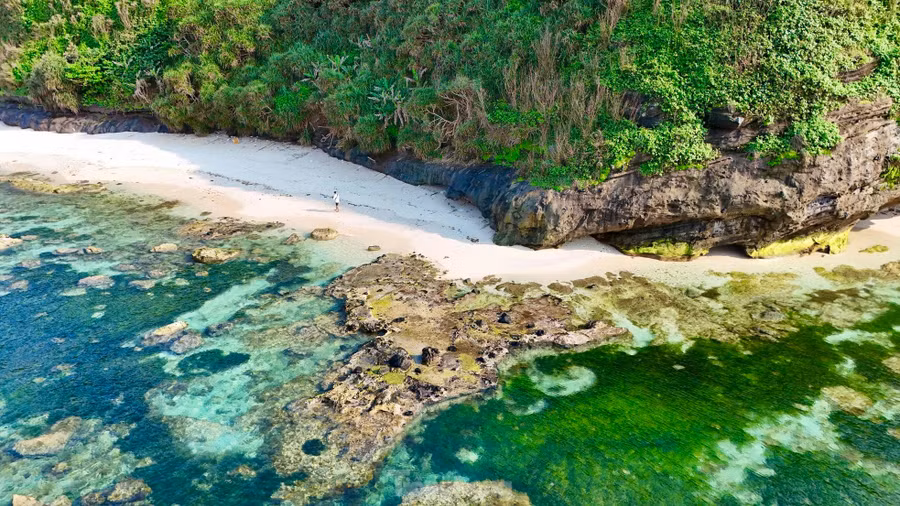 Đến với Lý Sơn vào thời gian này, du khách có thể chiêm ngưỡng thảm rêu xanh tại nhiều địa điểm khác nhau, trong đó nổi bật nhất là Hang Câu, cổng Tò Vò, phía trước Chùa Hang… khu vực bãi biển An Bình (đảo Bé). Ảnh: Nguyễn Ngọc.