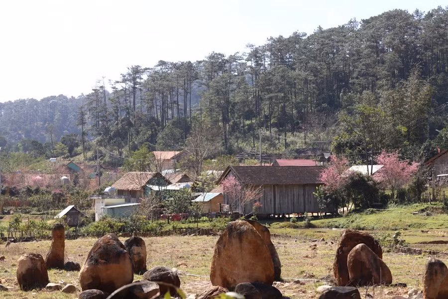 Làng du lịch Kon Pring (thị trấn Măng Đen, huyện Kon Plông, tỉnh Kon Tum) đang là điểm đến thu hút khách du lịch. Ảnh: HỮU PHÚC