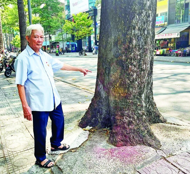 Những gốc cây to trên đường Minh Mạng (nay là đường Ngô Gia Tự) là nơi bộ đội ta chốt chặn đánh địch phản công Những gốc cây to trên đường Minh Mạng (nay là đường Ngô Gia Tự) là nơi bộ đội ta chốt chặn đánh địch phản công